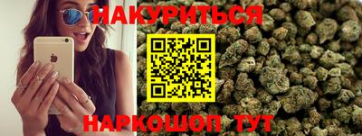 сатива Будённовск