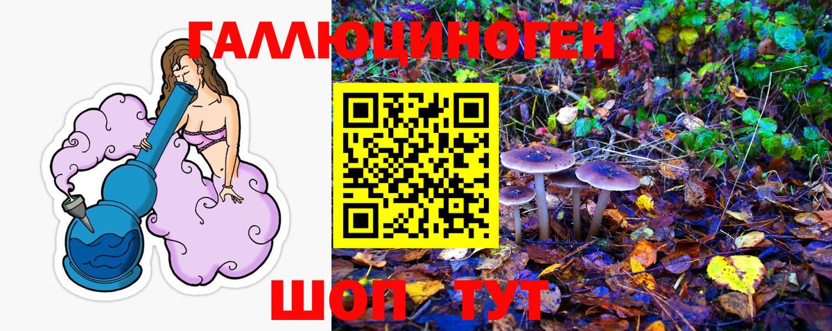 Лангепас  продажа наркотиков  Вход с VPN  Галлюциногенные грибы Cubensis 